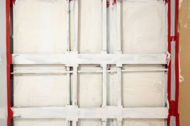 Professional Mold Removal in Euharlee, GA