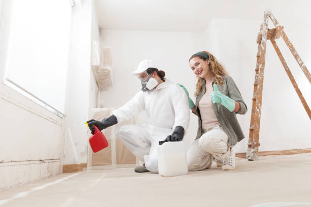 Best Residential Mold Inspection & Testing  in Euharlee, GA