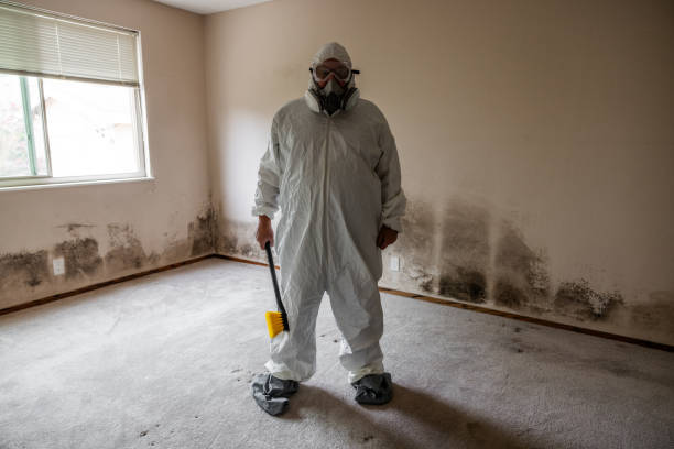 Best Airborne Mold Testing  in Euharlee, GA